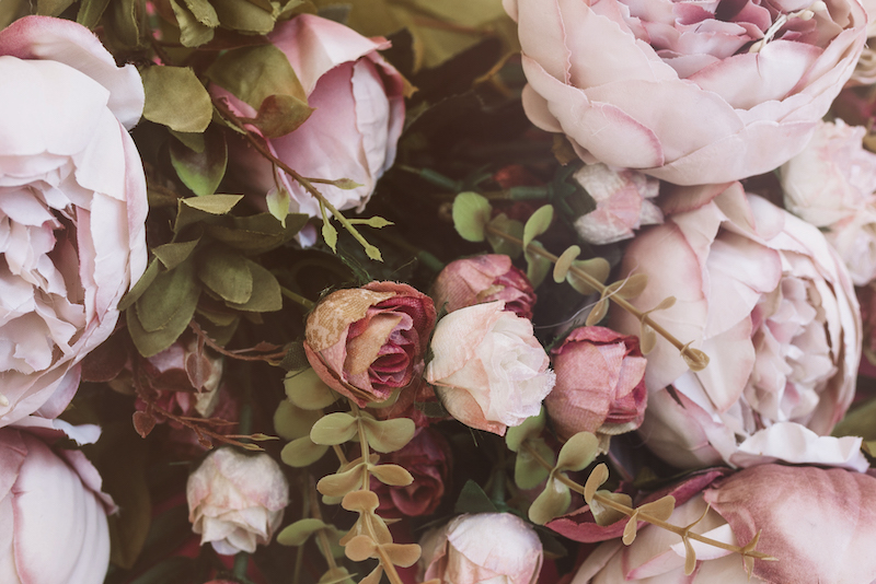 Rosa blommor